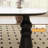 Guilhem Solid Wood Base Dining Table-1556430012