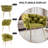 Modern Velvet Upholstered Kitchen Chairs Dining Chairs Set of 2-184720971