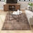Indoor Rug-88697045