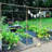 17” Tall 6 In 1 Modular Metal Outdoor Raised Garden Bed-1833642181-1765334317