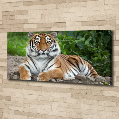 Siberian Tiger - No Frame Print on Canvas