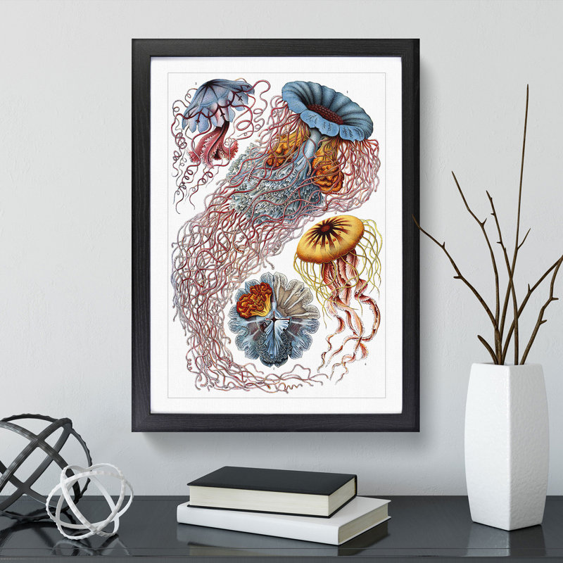 Jellyfish by Ernst Haeckel - Picture Frame Painting, 48cm H x 36cm W x 2cm D, Black