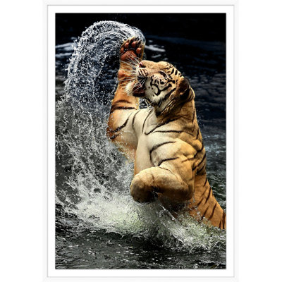 Tiger Jump 2 Print by Mat Sanders