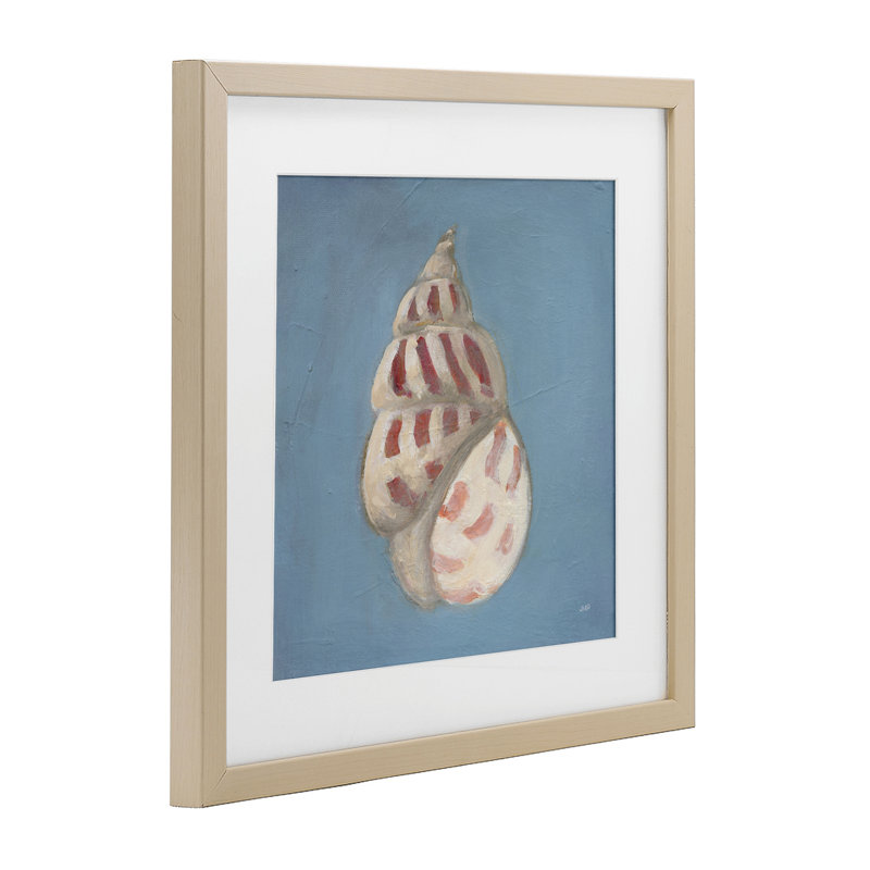 «Soft Sea Cowrie», reproduction encadrée sous verre, design par Julia Purinton, H 16 po x l 16 po, Cadre de récolte en pin