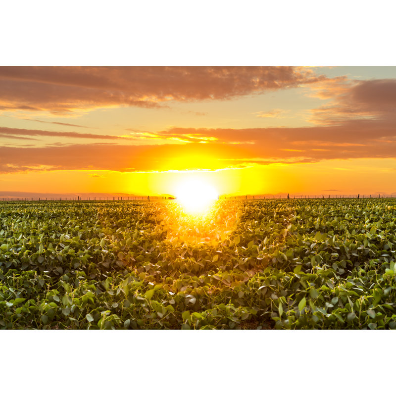 Magnifique lever de soleil dans la campagne - Photographie sur toile tendue, H 32 po x l 48 po