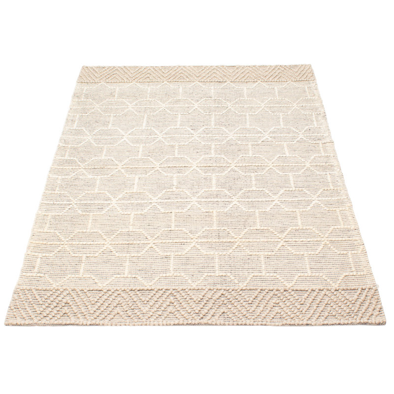 Iagulli Performance Hand Braided Wool Rug
