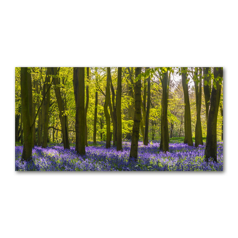 Spring Forest - Wrapped Canvas Print, 50cm H x 100cm W