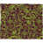 Brun abstrait Jardin 2 sélectionné