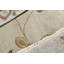 Floral Area Rug in Ivory