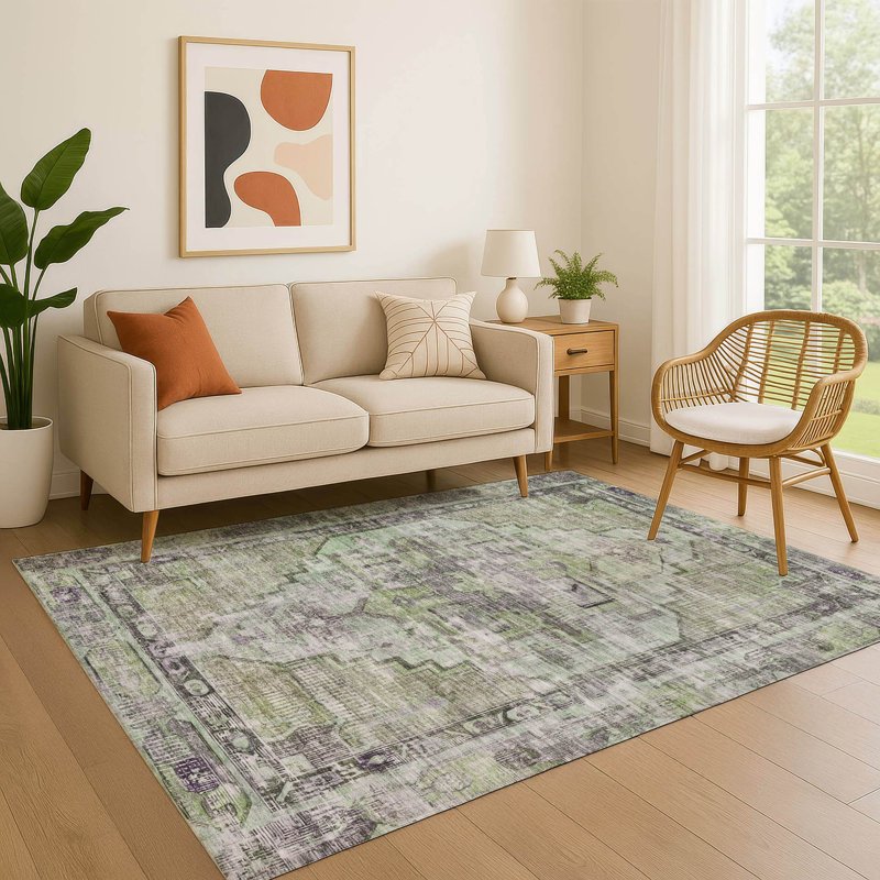 Premium Machine Washable Lucchesi AMF1729 Global Rug, Rectangle 2'6" x 3'10"