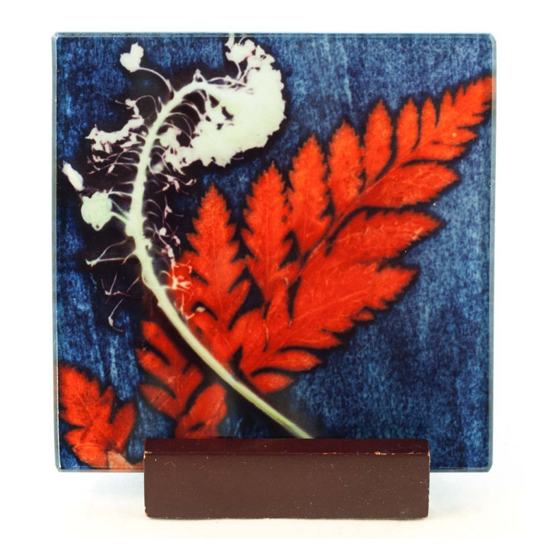 Glass Square 1 Piece Coaster