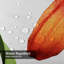 Fleurs vibrantes et florales de couleur orange, collage incroyable et tropical avec 12 crochets-90749575