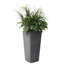 Handmade Planter-542536712