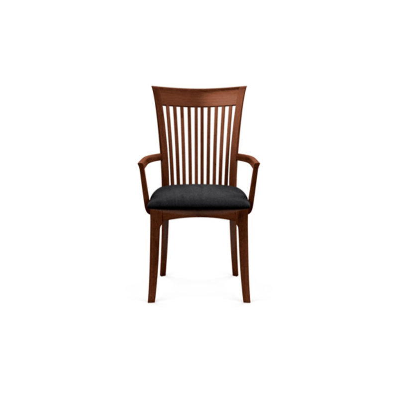 Sarah 19.25'' H Upholstered Armchair, Cognac Cherry, Onyx Microsuede