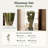 Flournoy Preserved Oat Grass Stem Bundle-474869458