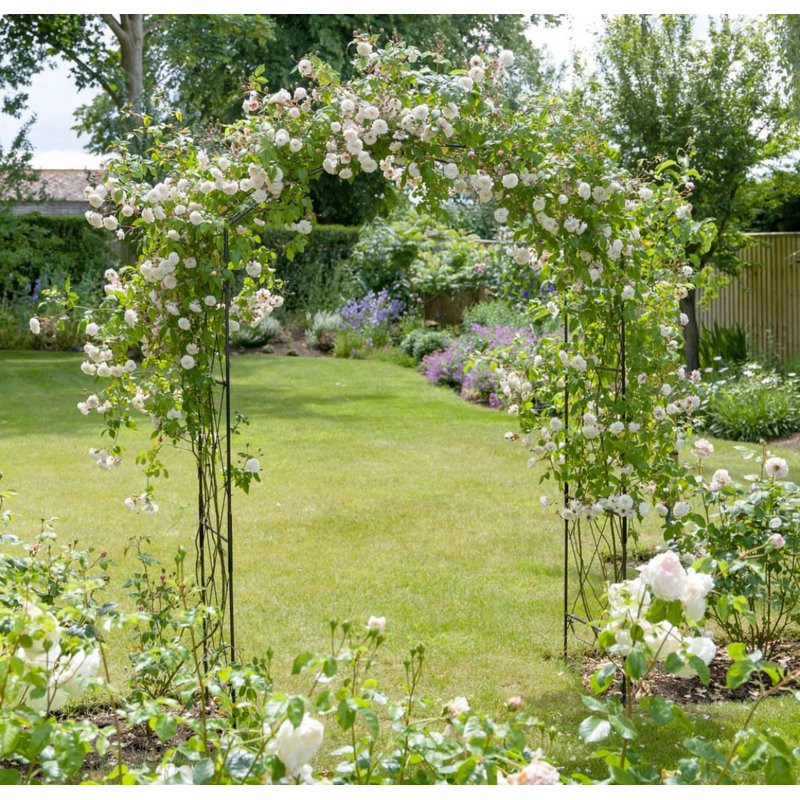 152cm W x 53cm D Steel Arbour in Black
