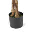 Ficus artificiel-158562947