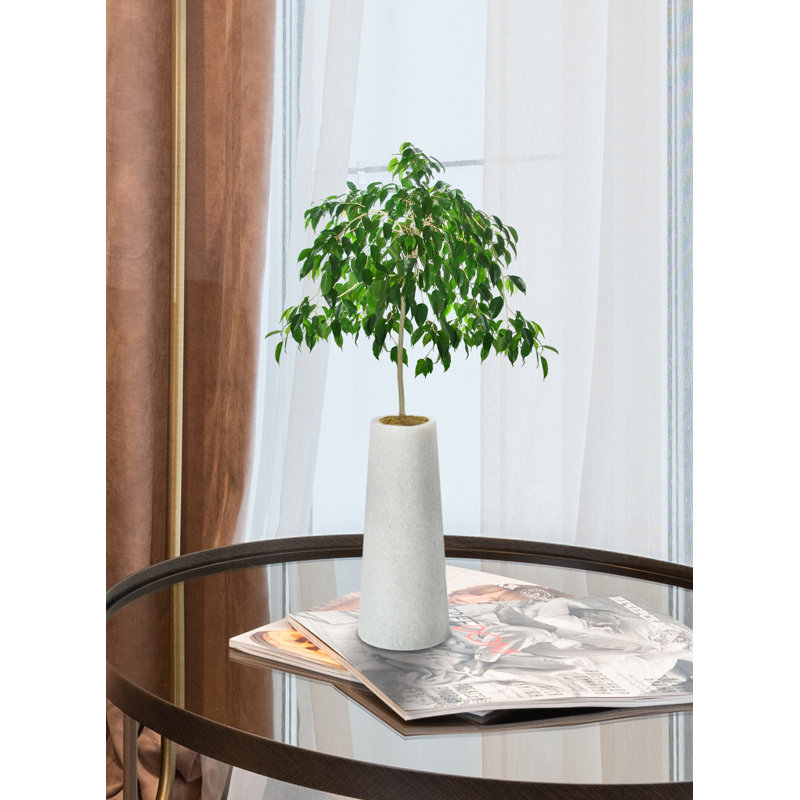 Synn Stoneware Table Vase, 6" H x 2.5" W x 2.5" D