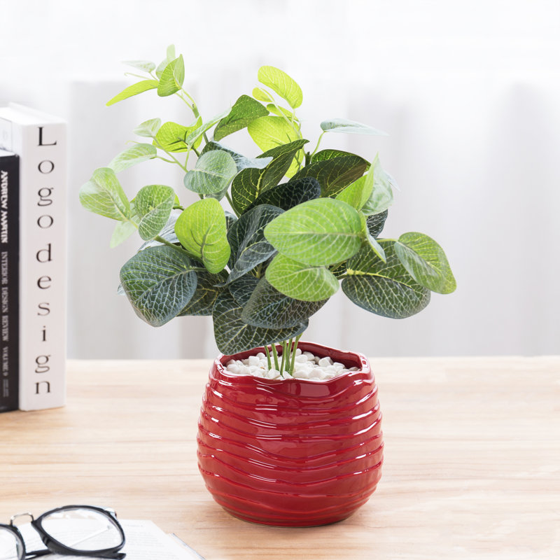 Ceramic Pot Planter