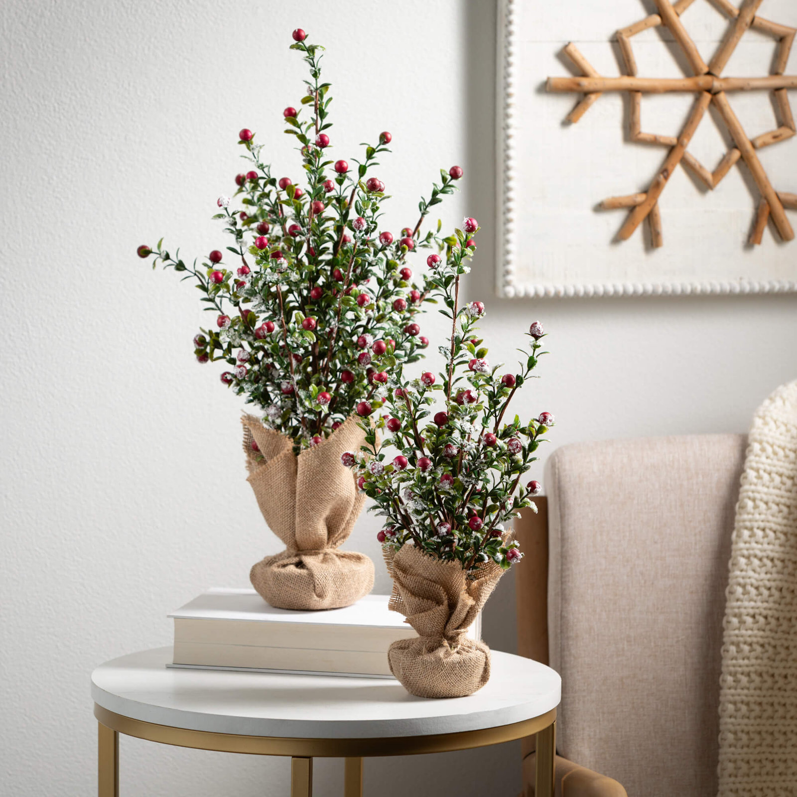 20" & 16" Artificial Christmas Boxwood Berry Tree Set of 2, Green-Red