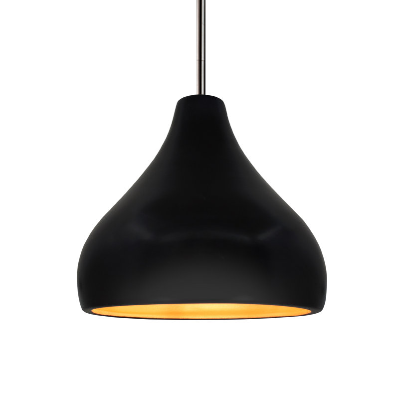 Luminaire suspendu à 1 lumière Meydan, H 8 po x l 11,5 po x P 11,5 po, Noir carbone mat / or champagne, Nickel brossé
