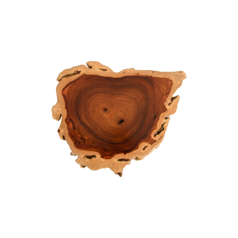 Makha Burled Wood End Table