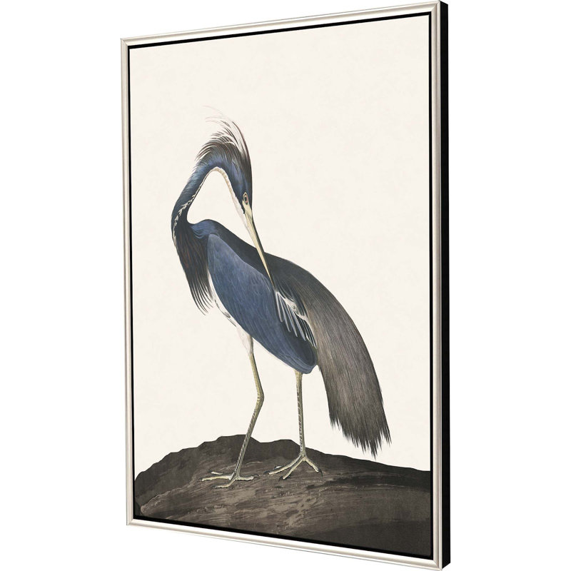 " Great Heron II " by Audubon