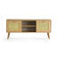 Shamong TV Stand