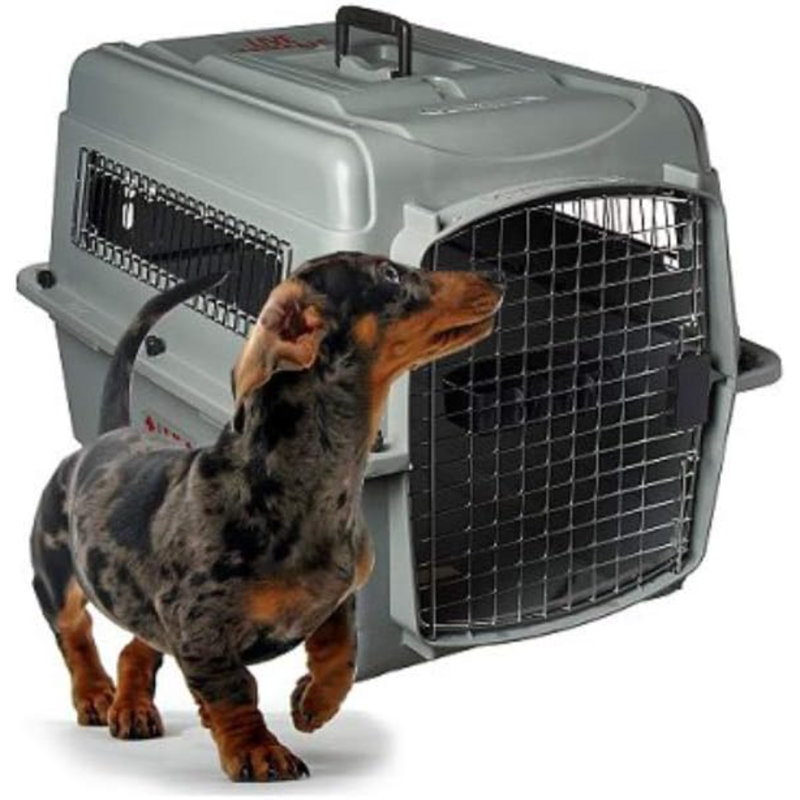 Sky Kennel Pet Carrier, 21 Inch & 290300 Kennel Travel Kit For Pets