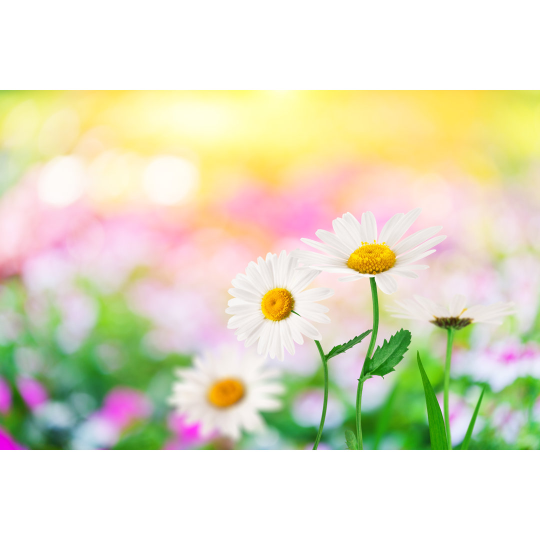 Leinwandbild mit Blumen in Frühlingsfarben