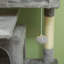 350.52cm H Cat Tree