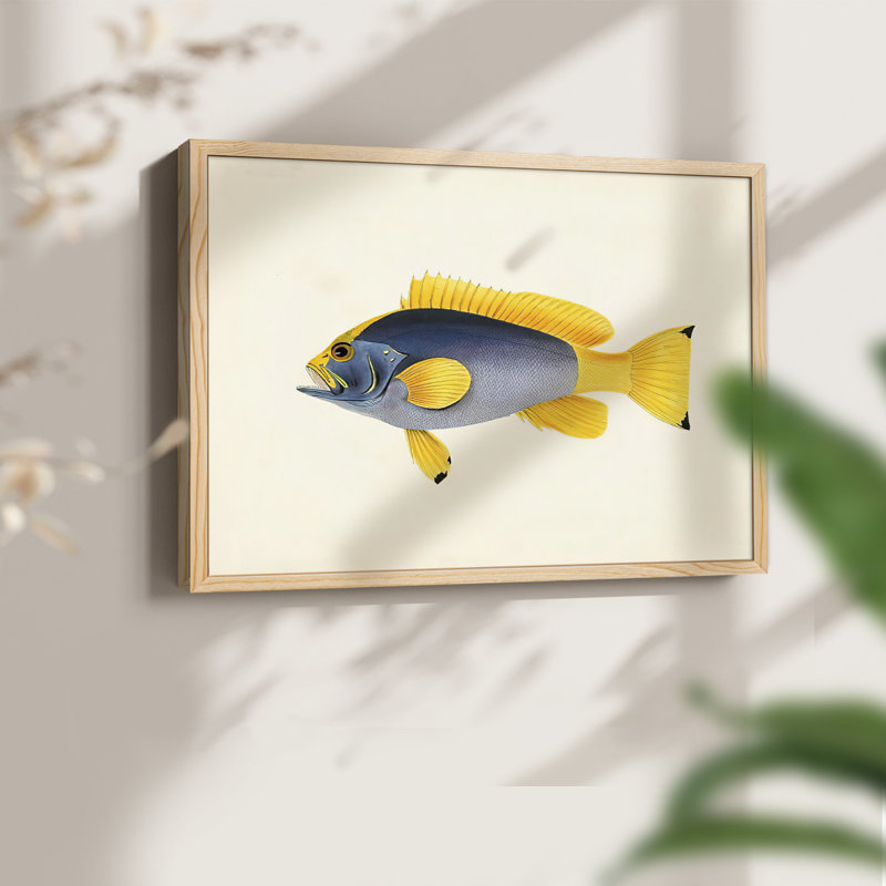 Collection de poissons tropicaux - impression encadrée en V - Restickable, H 11 po x l 14 po, Naturel