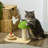66.04cm H Cat Tree