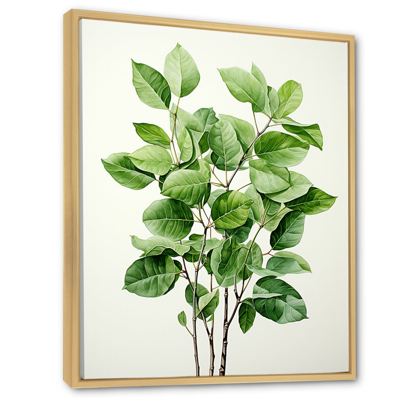 Botanical Canvas Wall Art, Green Leaf Nature Print - Green Elegance Leaves, Natural Floater Framed, 32" H x 24" W x 1" D