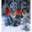 30.5'' Lighted Shatterproof Finial Ornament