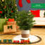 Costa Farms Indoor Norfolk Island Pine House Plant in 10-inch Holiday Décor