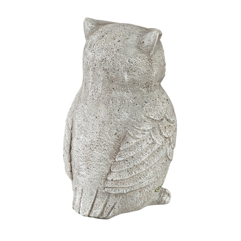 Hibou de Jacksonport