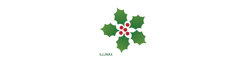 Logo Illumax