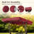 Replacement Canopy-88343868-88343869