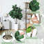 Arrangement