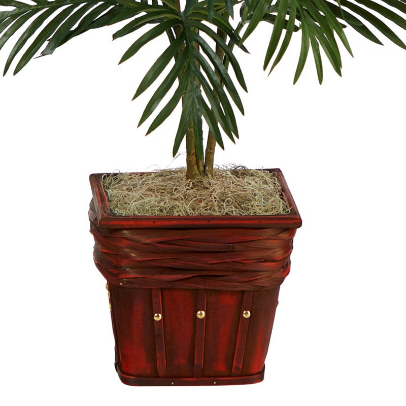 Plante de palmier Silk Areca