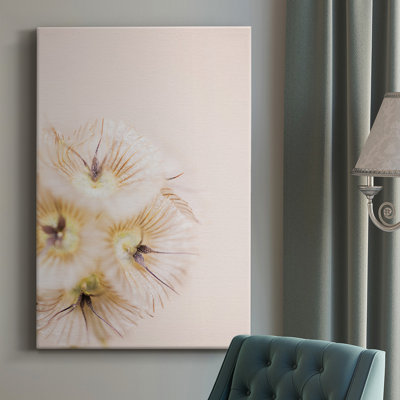 - Impression sur toile tendue