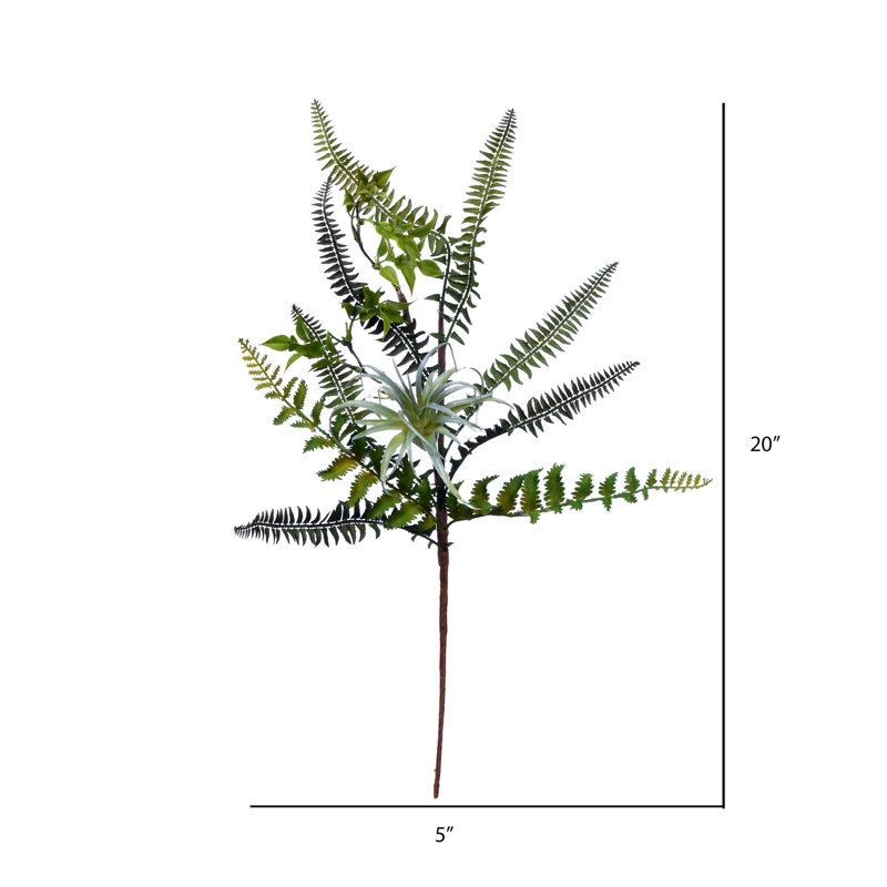 Fern Arrangement