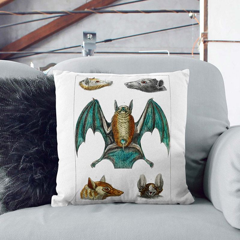 Various Bats by Oliver Goldsmith Cushion with Filling, 40cm H x 40cm W x 15cm D, White