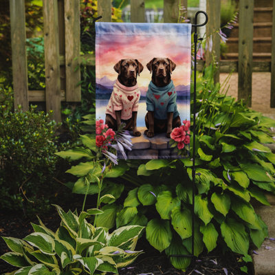 Double Sided 15.5'' H x 11.25'' W Polyester Valentine's Day Garden Flag