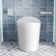 Smart Toilet with Advance Bidet, Foot Kick/Off-seat/Blackout/Remote Flush, Soft-closing Heat Seat, Warm Wash/Dryer, Bidet Elongated Toilet with Tankless, Remote Control