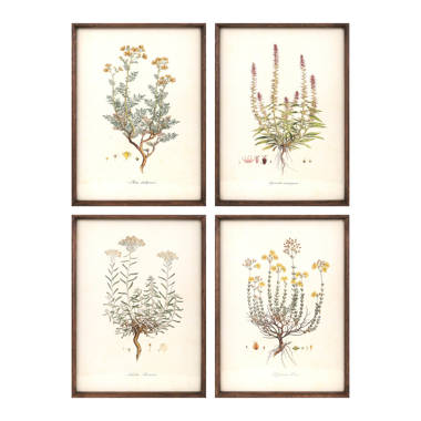 Botany Illustration mini note card set of 6 - Tree of Life Studio