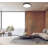 Arne 20.75 inch 1 Light Flush Mount in Matte Black-292030139
