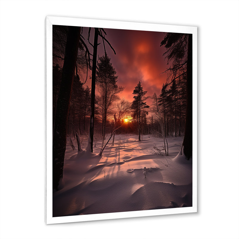 " Wintersun Shining Through Snowlit Trees ", 44" H x 34" W x 1.5" D, White Picture Framed
