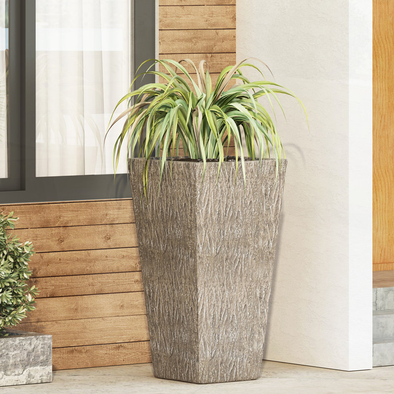 MGO PLANT